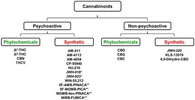A critical assessment of the abuse, dependence and associated safety risks of naturally occurring and synthetic cannabinoids